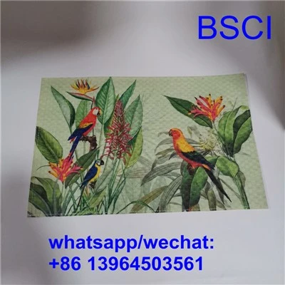 Paper Placemats with Printing